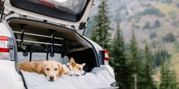Dog Travel Gear: 4Knines Car Covers