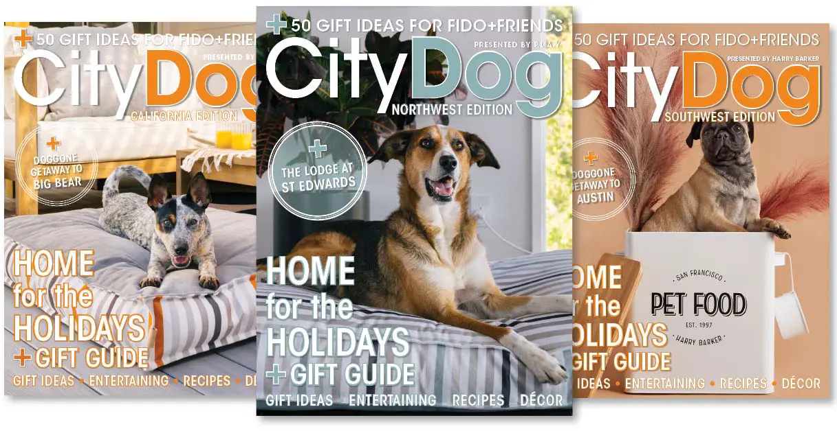 CityDog Magazine Regional Covers