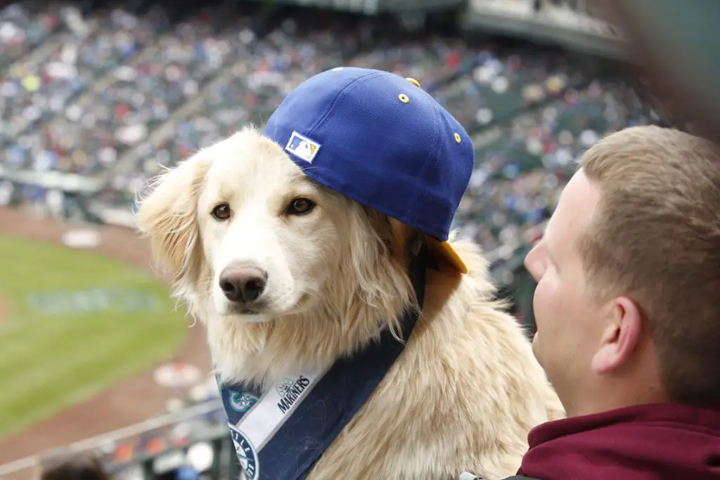Seattle Mariners Bark at the Park