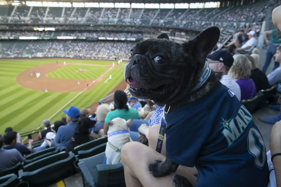 2023 Seattle Mariners Bark at the Park